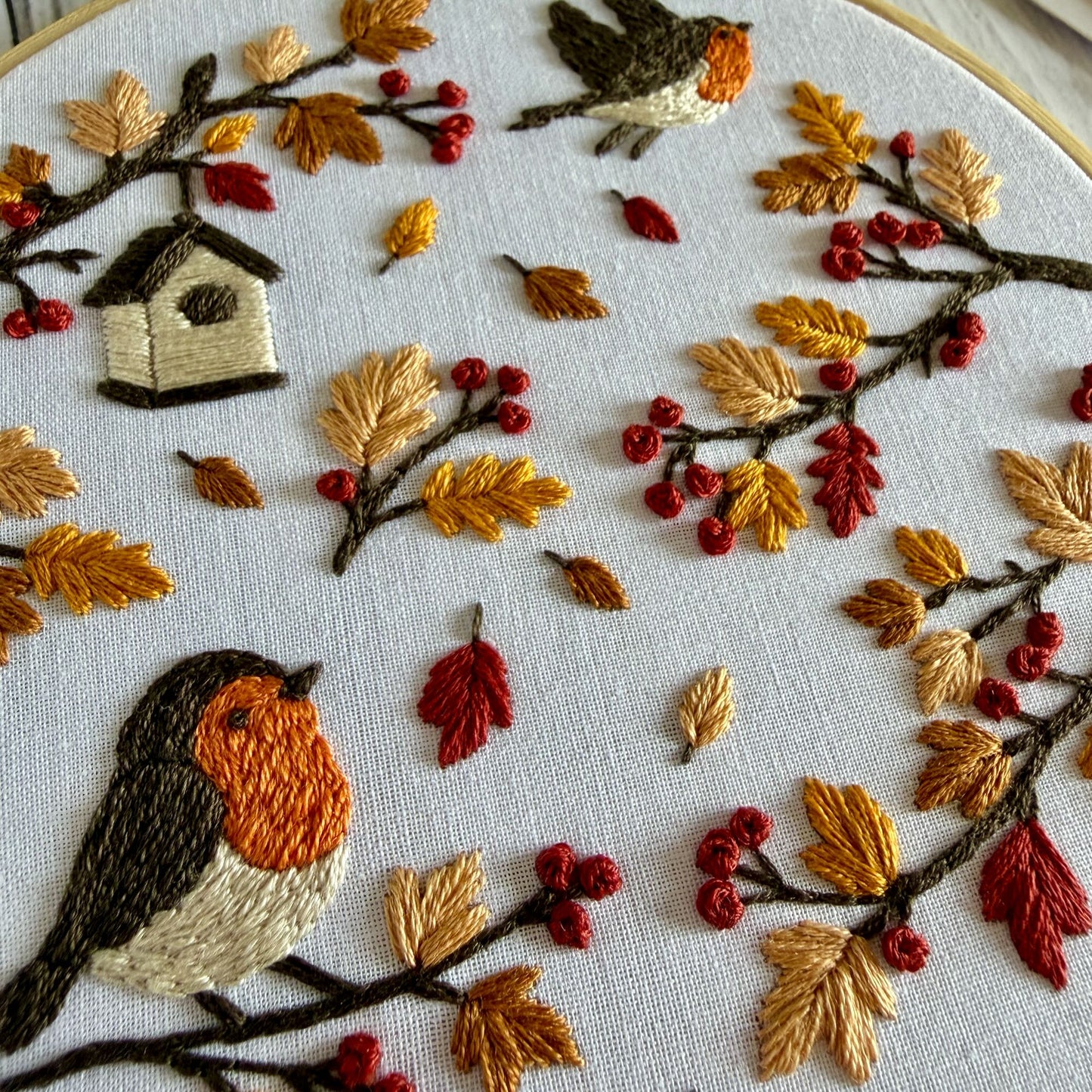 Autumn Robin Embroidery Kit – Woodland Bird DIY Hand Embroidery Craft for Beginners
