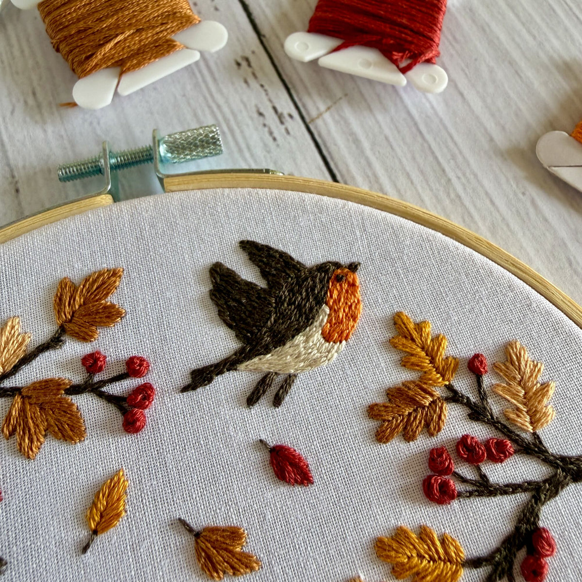 Autumn Robin Embroidery Kit – Woodland Bird DIY Hand Embroidery Craft for Beginners