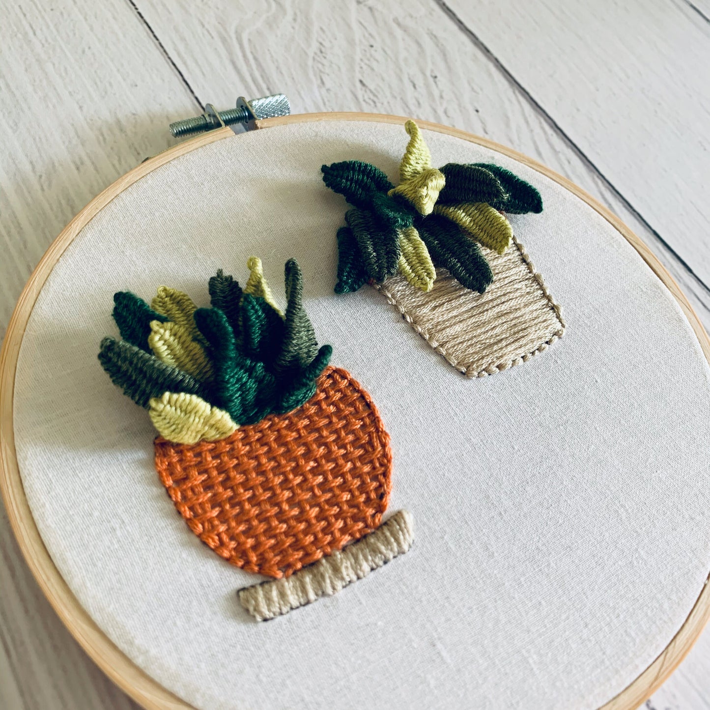 Full embroidery kit. Succulent hoop art. 3D hand sewing project