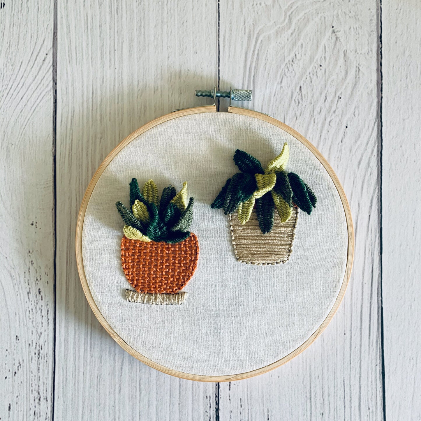 Full embroidery kit. Succulent hoop art. 3D hand sewing project