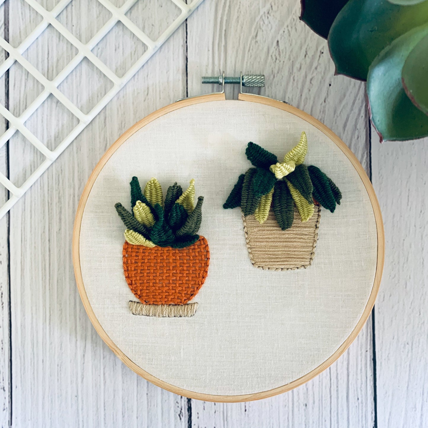 Full embroidery kit. Succulent hoop art. 3D hand sewing project